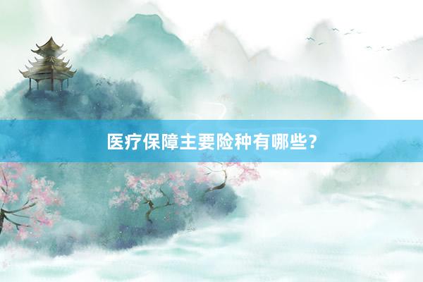 医疗保障主要险种有哪些？