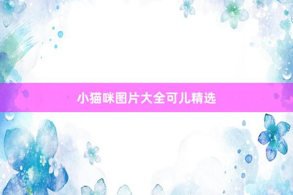 小猫咪图片大全可儿精选