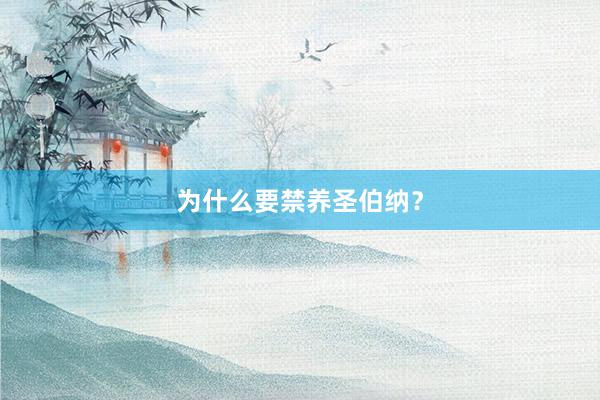为什么要禁养圣伯纳？